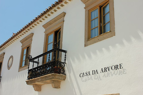 CASA DA ÁRVORE - photo 5