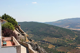 CASA DA ÁRVORE