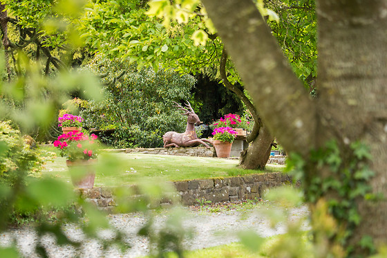 Arts in the Garden - photo 1