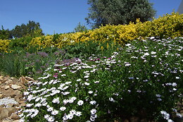 Quinta do Cano