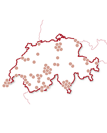 Séjour de luxe en Suisse
