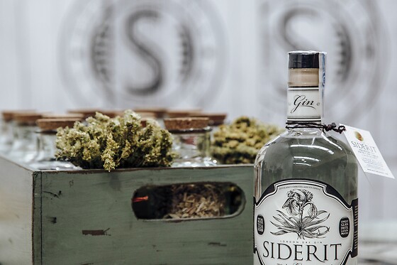 LA GIN DEL CANTABRICO SIDERIT - photo 7