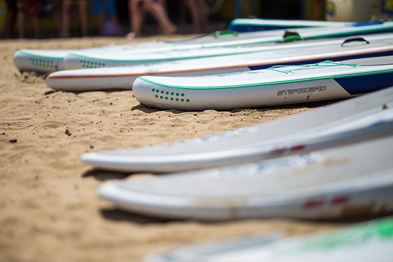 Wave School - photo 12