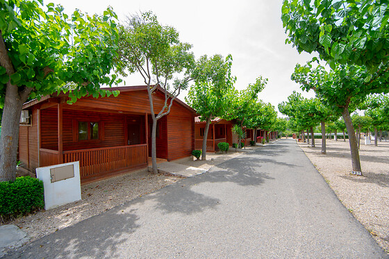 CAMPING CARLOS III - photo 3