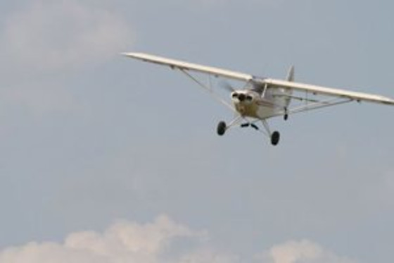 Alsafly - photo 8