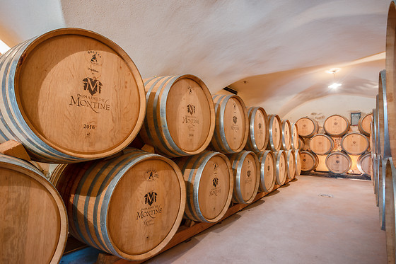 Domaine de Montine - photo 0