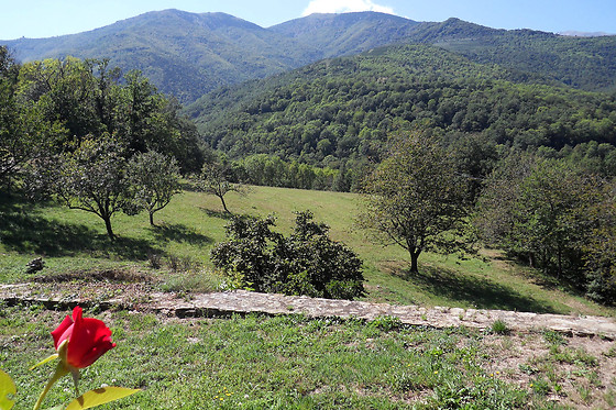 Le Vieux Mas - photo 14