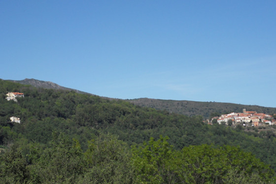 Le Vieux Mas - photo 10