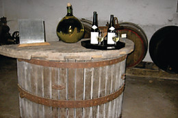 Château de l'Epinay (St Fiacre sur Maine)