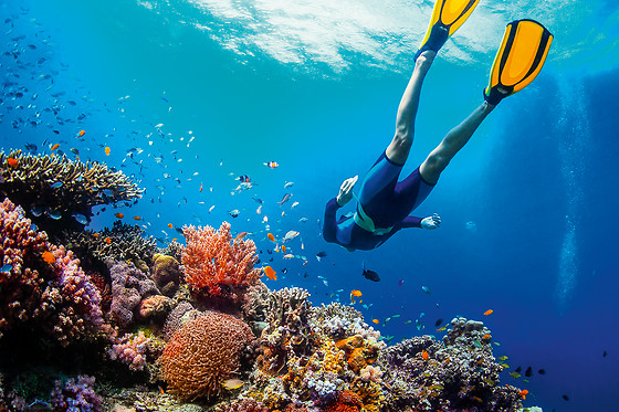 SOTACERO DIVING - photo 1