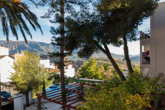 HOTEL ANDALUCIA DE LANJARON - photo 19