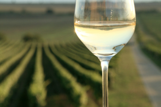 BODEGA GARGALO - photo 1