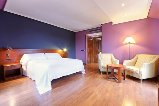 HOTEL SEGOVIA SIERRA DE GUADARRAMA - photo 3