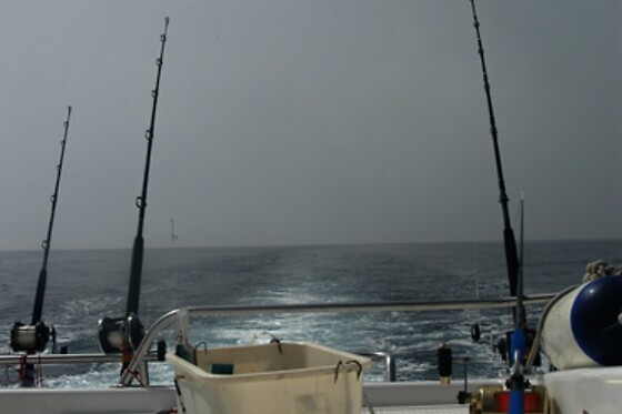 CAP A MAR - photo 6