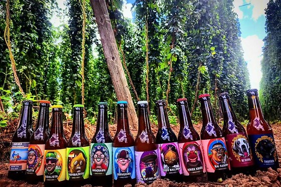 VINOS O BEER/ TAPROOM DE VAMOS A BEER/ QUE PASA MAJA! - photo 2