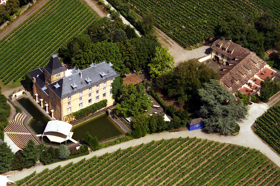 Hotel Schloss Edesheim - photo 1