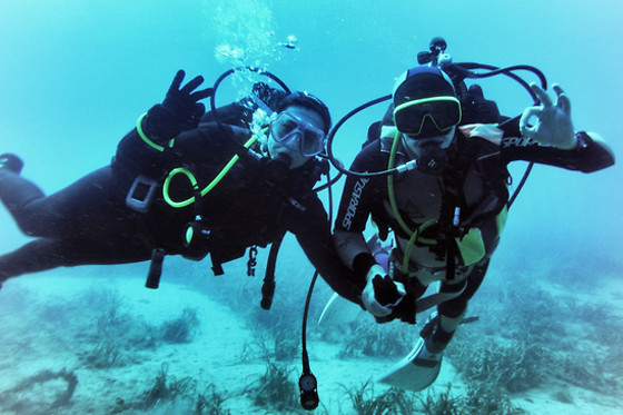 SCUBA ELX - photo 1