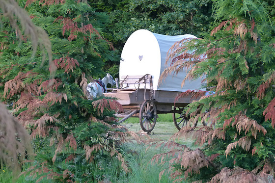 La Ferme Aventure - photo 5