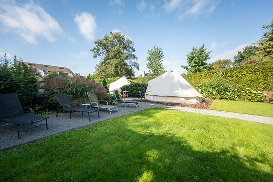 De Witte Merel & Hotel at home - photo 6