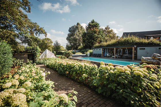 De Witte Merel & Hotel at home - photo 7