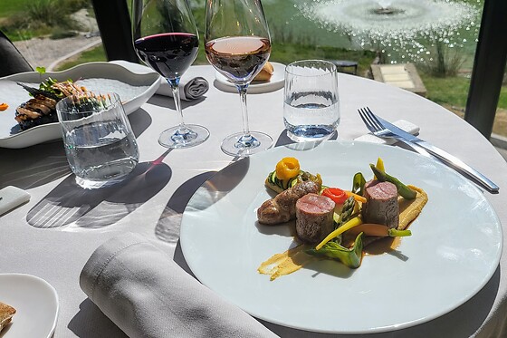Domaine Ribiera - photo 20