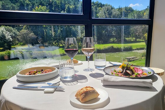Domaine Ribiera - photo 21