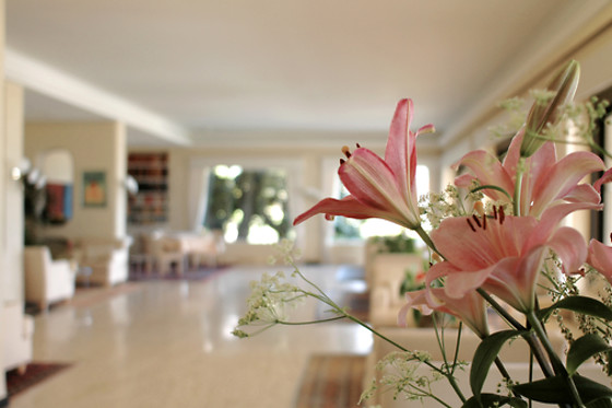 Hotel Ascona - photo 6