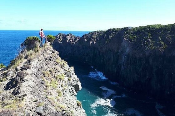 Azores Nature Tours - photo 30