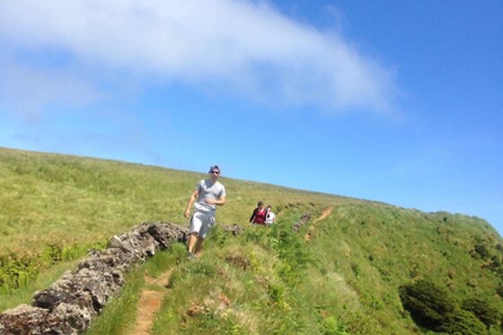 Azores Nature Tours - photo 16