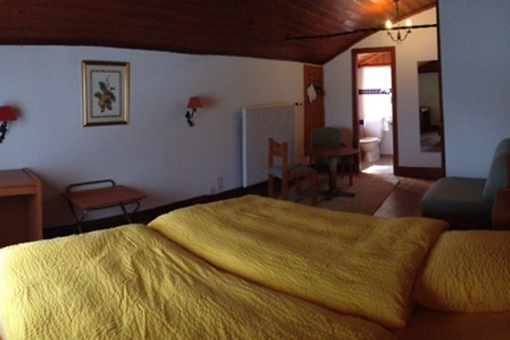 Hotel du Col de la Forclaz - photo 6