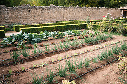 HOTEL RURAL HORT DE FORTUNYO