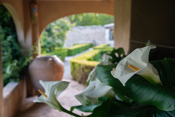 HOTEL RURAL HORT DE FORTUNYO - photo 7