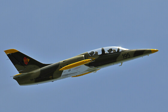 MiGFlug Switzerland - photo 7