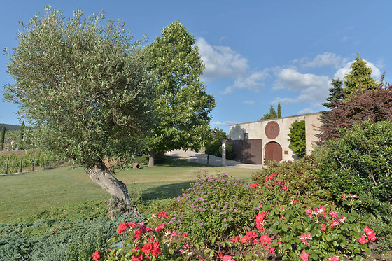 BODEGAS REGINA VIARUM - photo 4