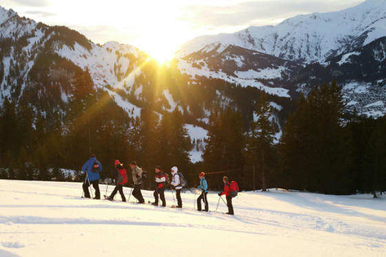 4wellbeing GmbH - photo 1