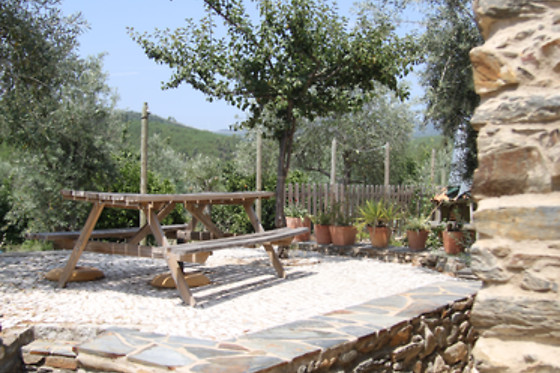 ALDEIA OLIVEIRAS - photo 7