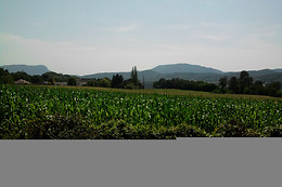 La Prairie