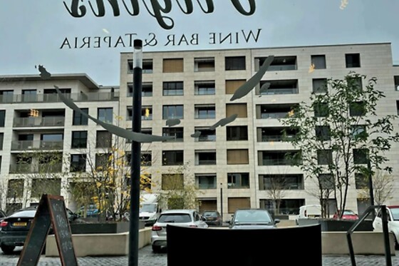 Origins - photo 6