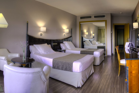 HOTEL BEATRIZ TOLEDO AUDITORIUM & SPA - photo 6