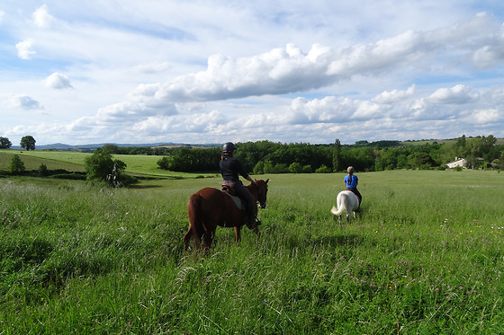 Un Poney, une histoire - photo 3