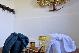 Thaitip Massage Istres et Martigues