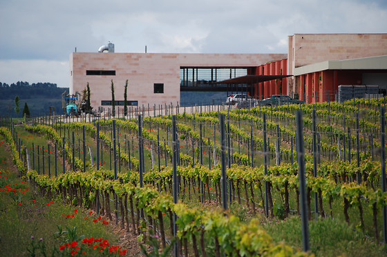 BODEGAS COMENGE - photo 3