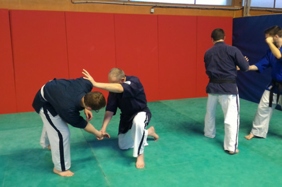 Nord Shogun - Arts Martiaux Faches Thumesnil - photo 0
