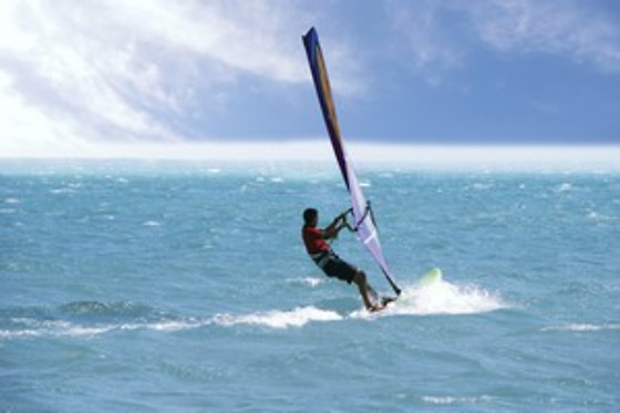Wave School - photo 23