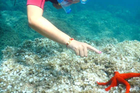 ECOAGATA - photo 6