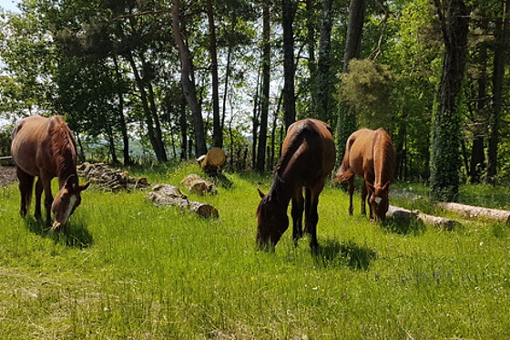 L'Envol - photo 5