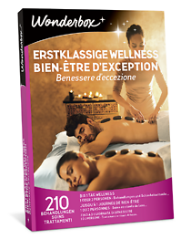 Erstklassige Wellness