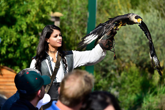 Falconeria Locarno - photo 8