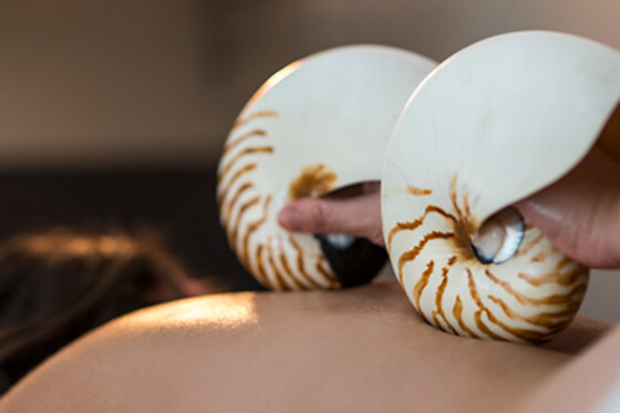 ESTETICA NATURAL RAQUEL TORRES - photo 12