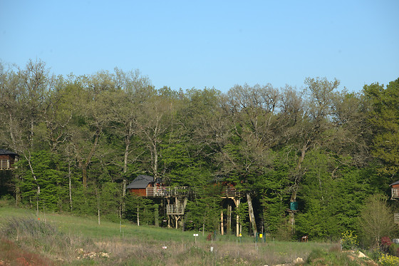 Defiplanet - photo 7